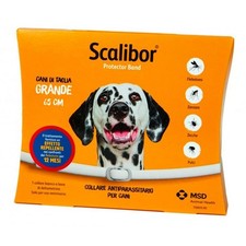 Msd scalibor 65cm usato  Amantea