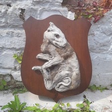 Cat sculpture mummified for sale  CHESTER