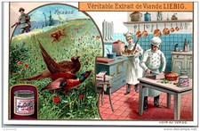 Liebig faisans d'occasion  France
