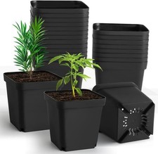 Square nursery pots for sale  Chicago