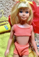 Vintage skipper doll for sale  Berkley