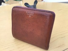 Fossil sydney chestnut for sale  NEWCASTLE UPON TYNE