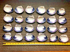 Quahog shells wampum for sale  Jefferson