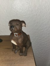 Leonardo staffordshire bull for sale  WARRINGTON