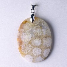 Corail fossile pendentif d'occasion  Saint-Pardoux