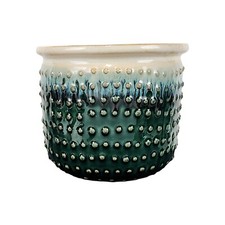 Green indoor ombre for sale  Kansas City