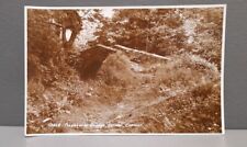 Vintage postcard exmoor for sale  NELSON