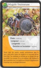 Bioviva cards mygale d'occasion  Expédié en Belgium
