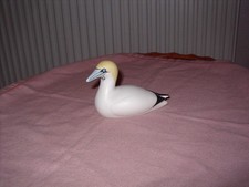isle arran for sale  EDINBURGH