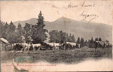 73416 cpa chalet d'occasion  Guéret
