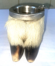 Vintage antique taxidermy for sale  Fort Worth
