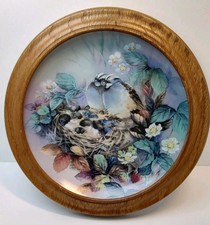 Lena liu tender for sale  Chattanooga