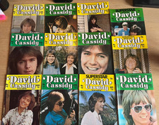 David cassidy full for sale  KINGSWINFORD
