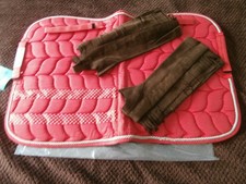 Pony shetty schabracke gebraucht kaufen  Walchum
