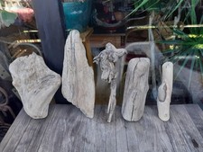 Treibholz schwemmholz cm gebraucht kaufen  Hilden