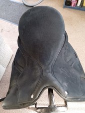 Isabel worth dressage for sale  WATFORD