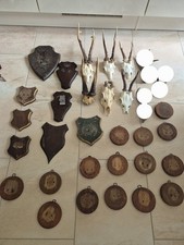Rehbock gehörn rehgeweih gebraucht kaufen  Hannover