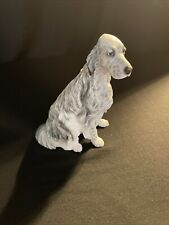 english setters for sale english setters for sale LINLITHGOW