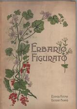Erbario figurato. illustrazion usato  Brugherio
