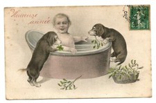 Happy year.2 dachshund d'occasion  Expédié en Belgium