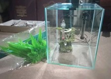 Aquael shrimp day for sale  UK