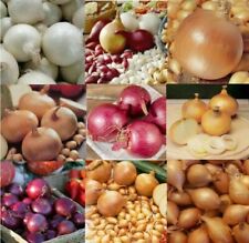 Onion sets mix for sale  MANCHESTER