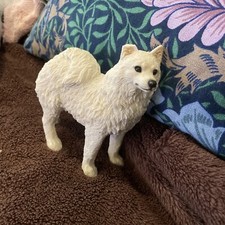 Samoyed dog breed for sale  TONBRIDGE