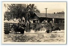 C1950 cattle loading for sale  Terre Haute