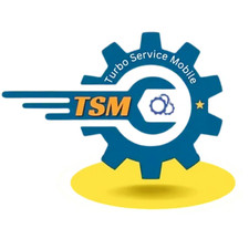 TSM TOOL Pro 6 meses ativação de licença novo/renovado comprar usado  Enviando para Brazil