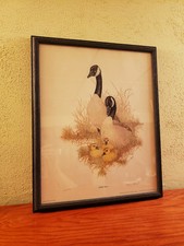 Canada geese art for sale  Jackson