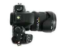 Sigma sd1 merrill usato  Spedire a Italy