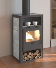 Eek kaminofen holz gebraucht kaufen  Hoyerswerda