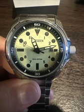 Citizen sea land for sale  Fairfax