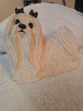 Maltese white sandicast for sale  West Valley City