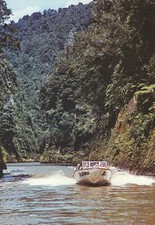 Postcard jet boating for sale  BURY