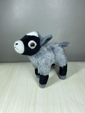 Pygmy baby goat for sale  Concord
