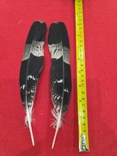Z45 pen raised for sale  Hill City