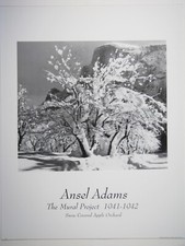 Ansel adams mural for sale  Tucson