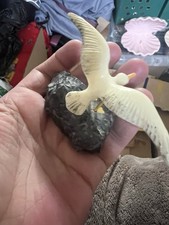 Vintage seagull rock for sale  RADSTOCK