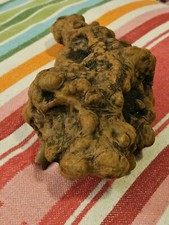 Manzanita burl root for sale  Portland