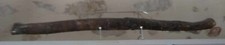 Fossile hadrosaure ulna d'occasion  France