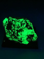 Autunit menzenschwand schwarzw gebraucht kaufen  Leipzig
