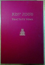 Jung leo hebrew for sale  LLANWRDA