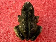 Prior grenouille série d'occasion  La Roche-sur-Yon