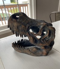 Tyrannosaurus rex skull for sale  Springfield