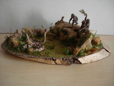 Erstklassiges schönes seltene gebraucht kaufen  Falkenstein