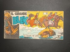 Fumetto striscia grande usato  Italia