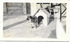 Vintage 1940 cute for sale  Clovis