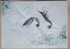 Prawn crayfish japanese for sale  OSWESTRY