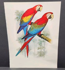 Vtg parrot art for sale  Levelland